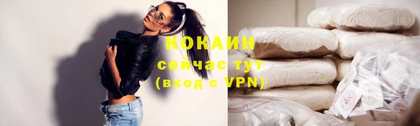 прущие грибы Абаза