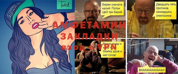 прущие грибы Абаза