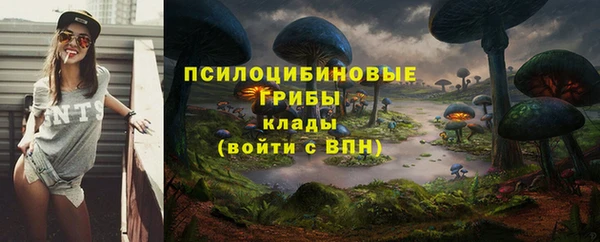 кокс Нягань