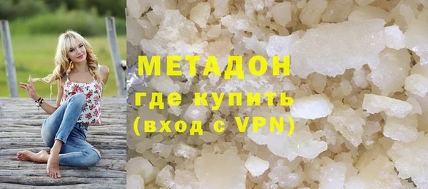 прущие грибы Абаза