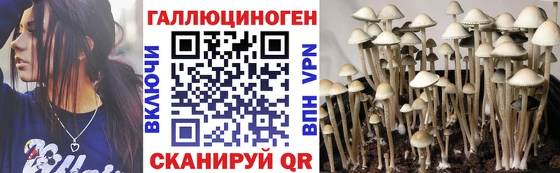 Псилоцибиновые грибы прущие грибы Шиханы